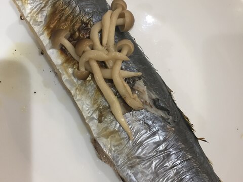 塩しめじと塩さごしのフライパン焼き